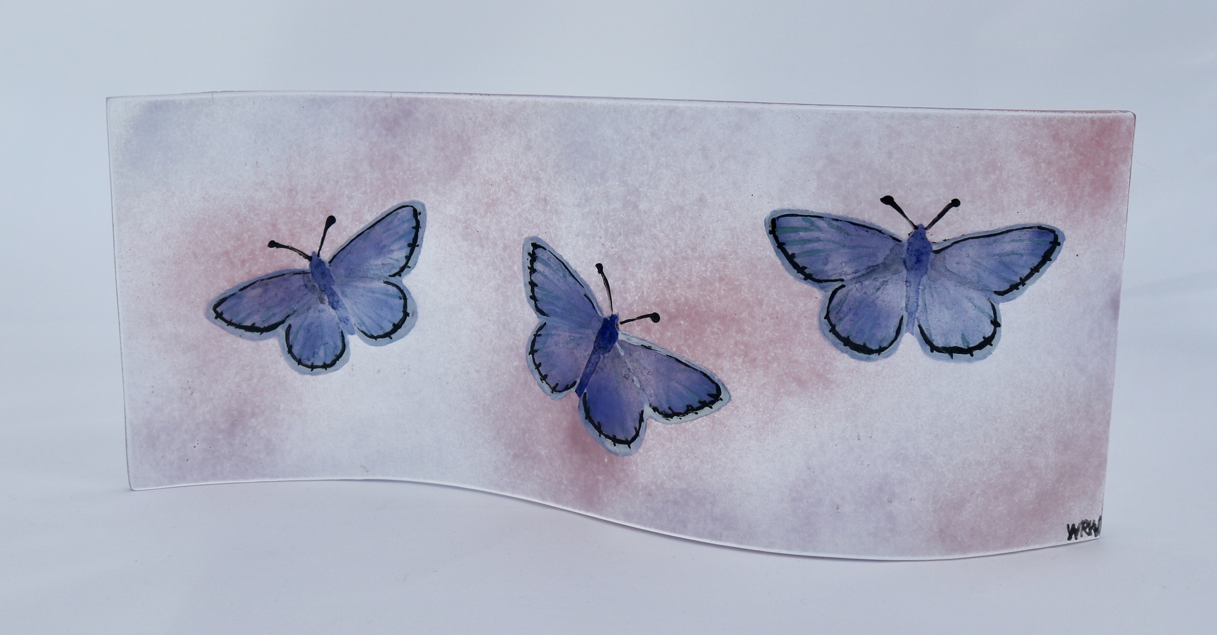Common blue butterflies design with transparent purple background