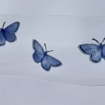 Blue butterflies on clear background