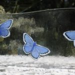 Long glass panel with hand-painted fused glass butterflies